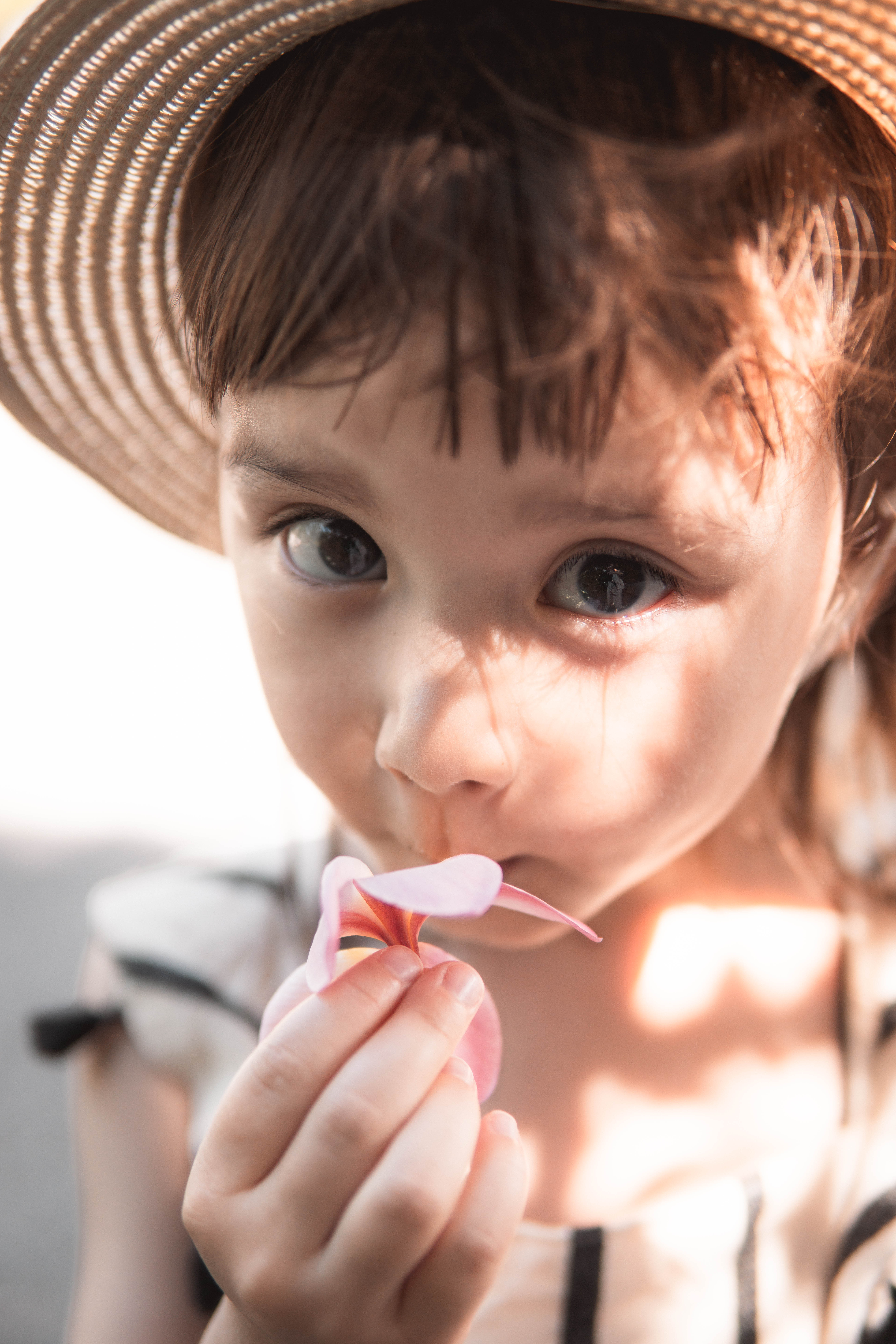 花びらを手にする子ども
